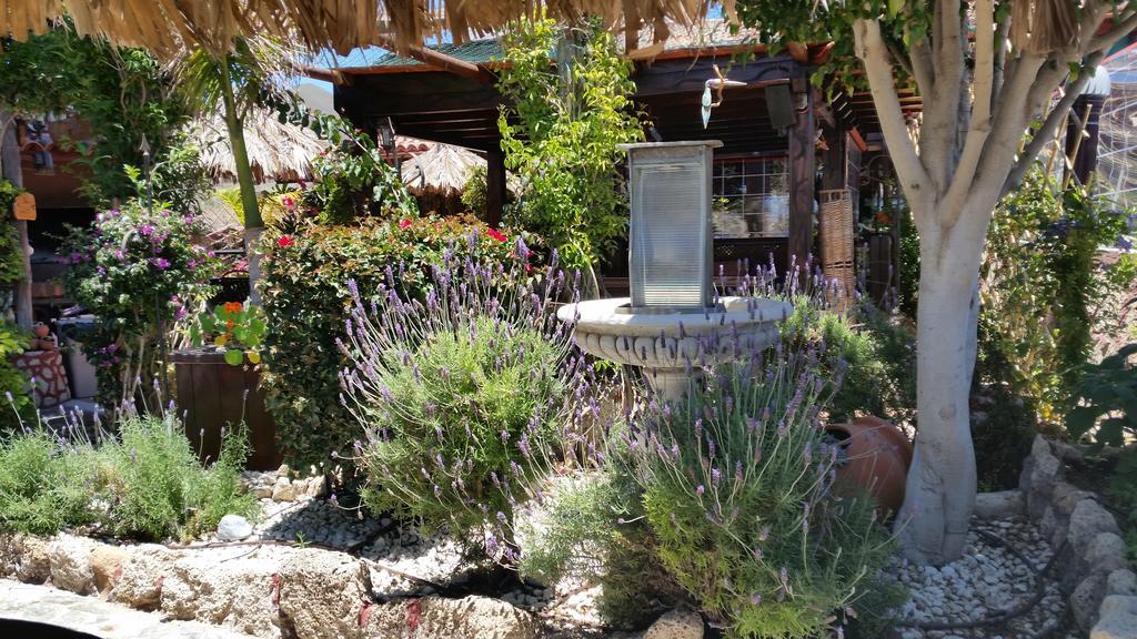 Casa Giuliana Bed & Breakfast Charco del Pino Exterior photo